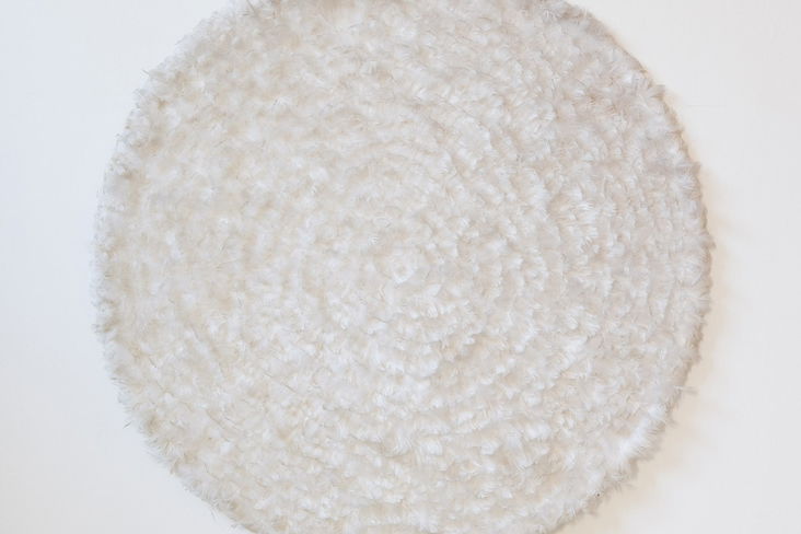 Alternate decription