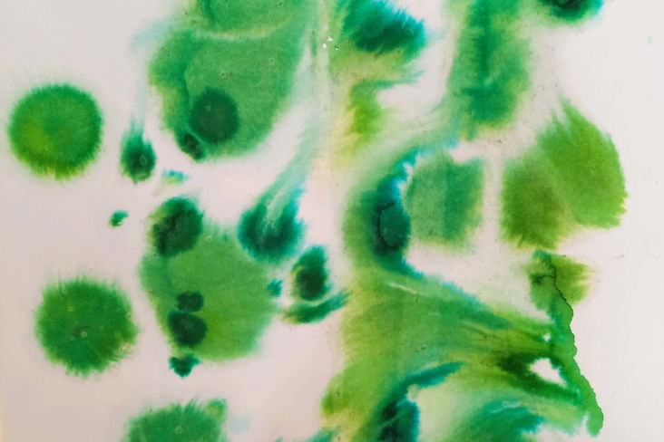 Alternate decription