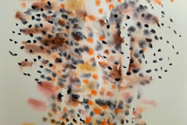 Alternate decription