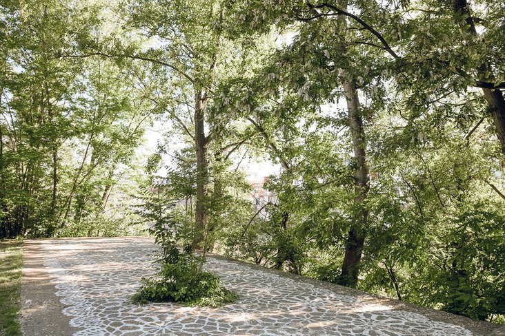 Alternate decription