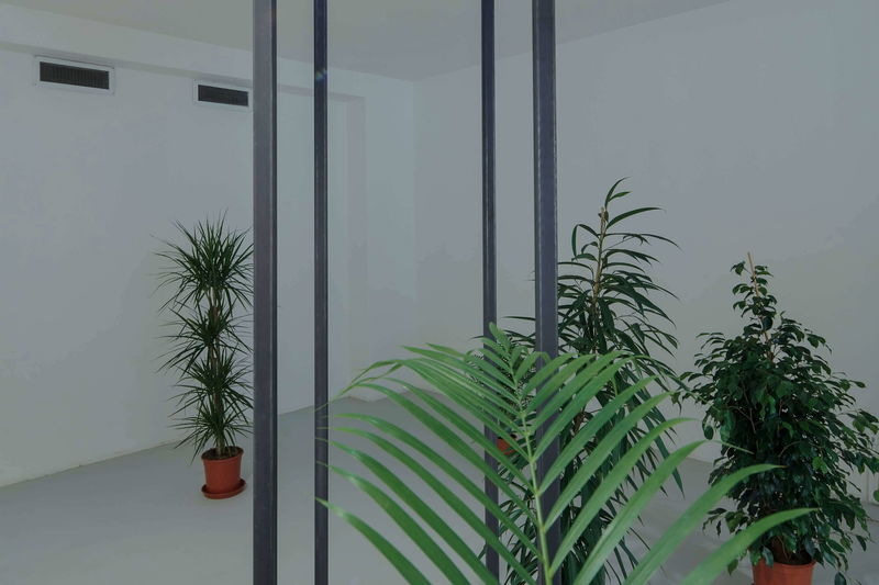 Pohled do instalace výstavy Laure Prouvost