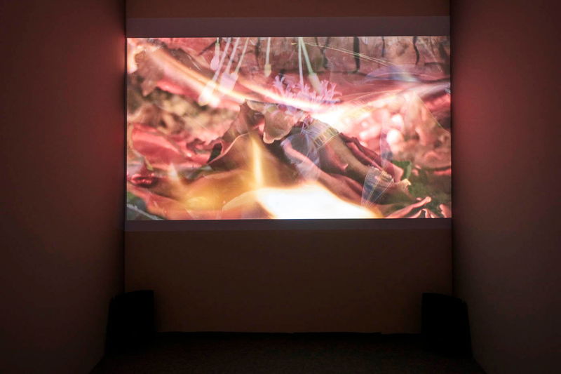 Pohled do instalace výstavy Laure Provoust