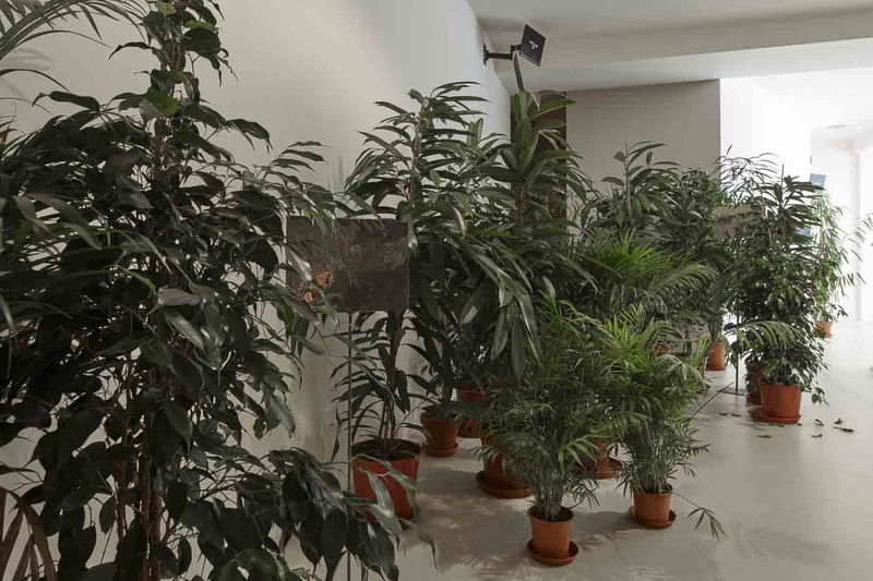 Pohled do instalace výstavy Laure Provoust