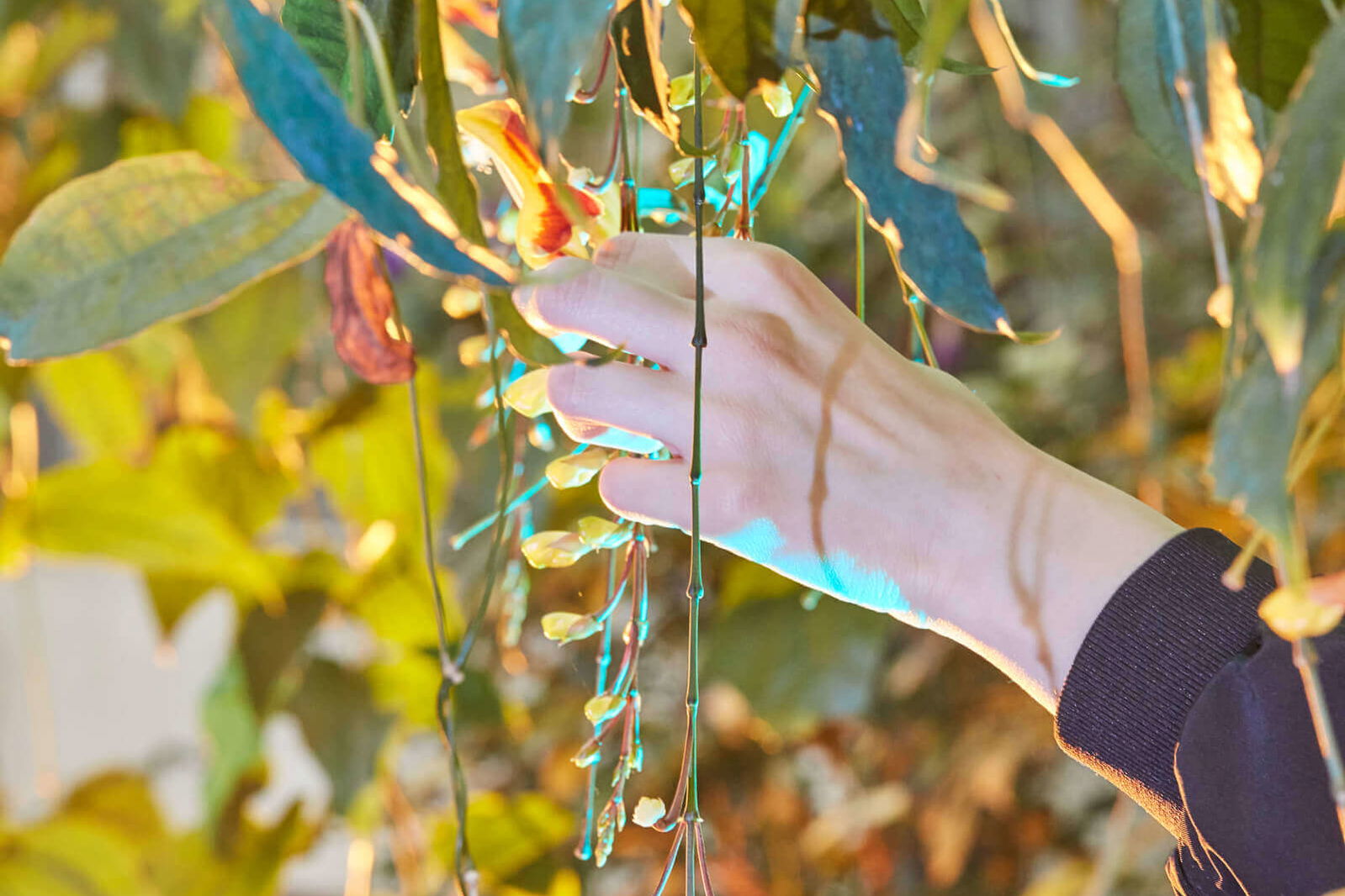 Vyhlášení Ceny Jindřicha Chalupeckého 2017