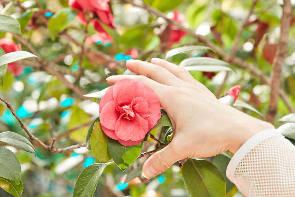 Jindřich Chalupecký Award: Final 2017