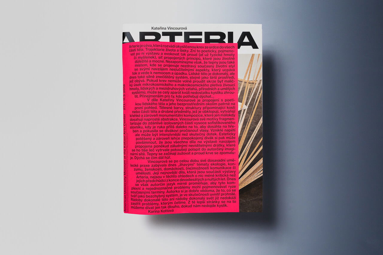 Ilustrační obrázek pro Kateřina Vincourová: Arteria