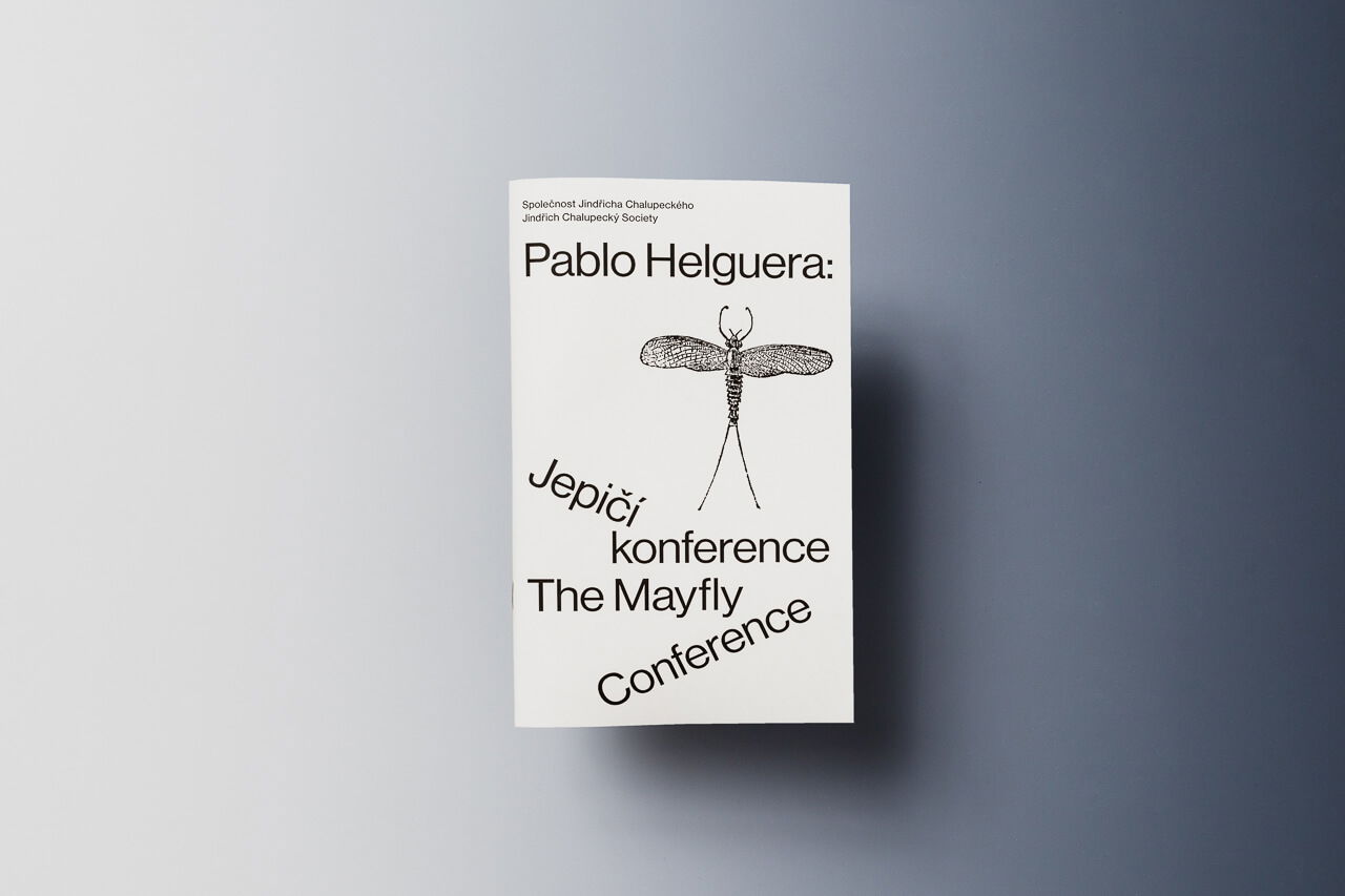 Ilustrační obrázek pro Pablo Helguera: Jepičí konference