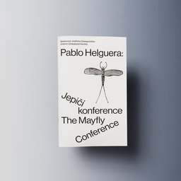 Ilustrační obrázek pro Pablo Helguera: Jepičí konference