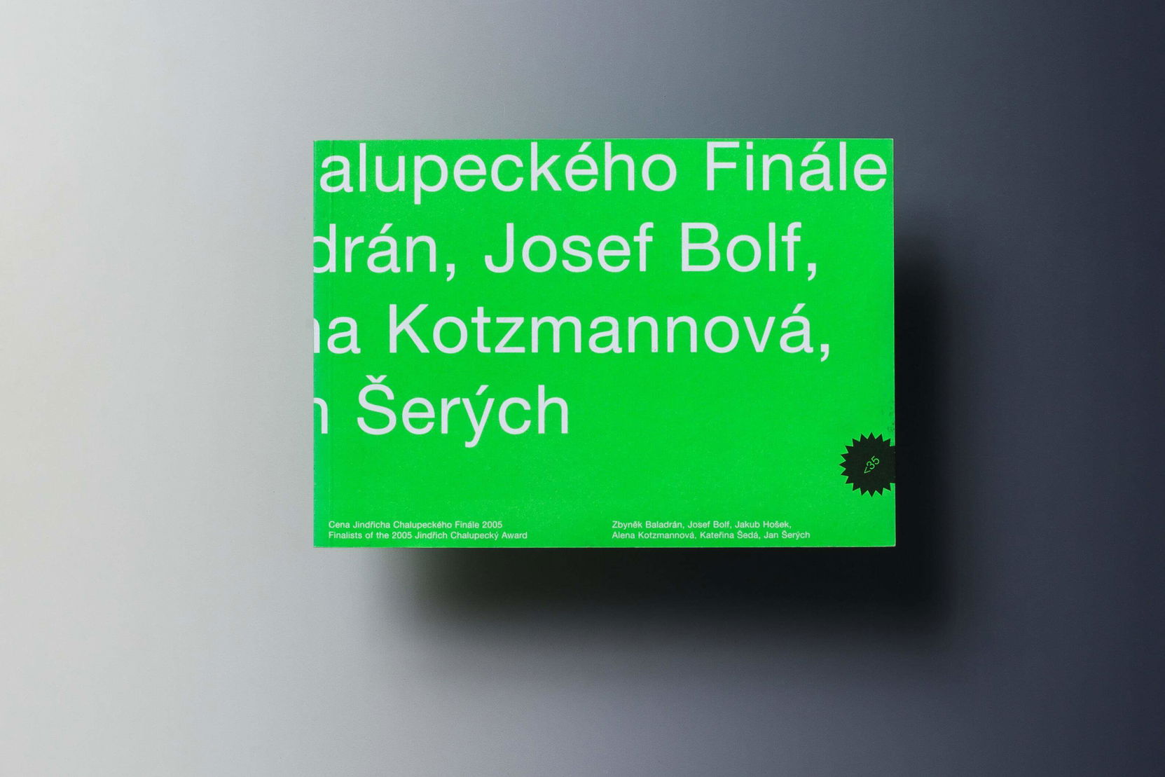 Ilustrační obrázek pro Cena Jindřicha Chalupeckého: Finále 2005