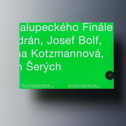 Ilustrační obrázek pro Cena Jindřicha Chalupeckého: Finále 2005