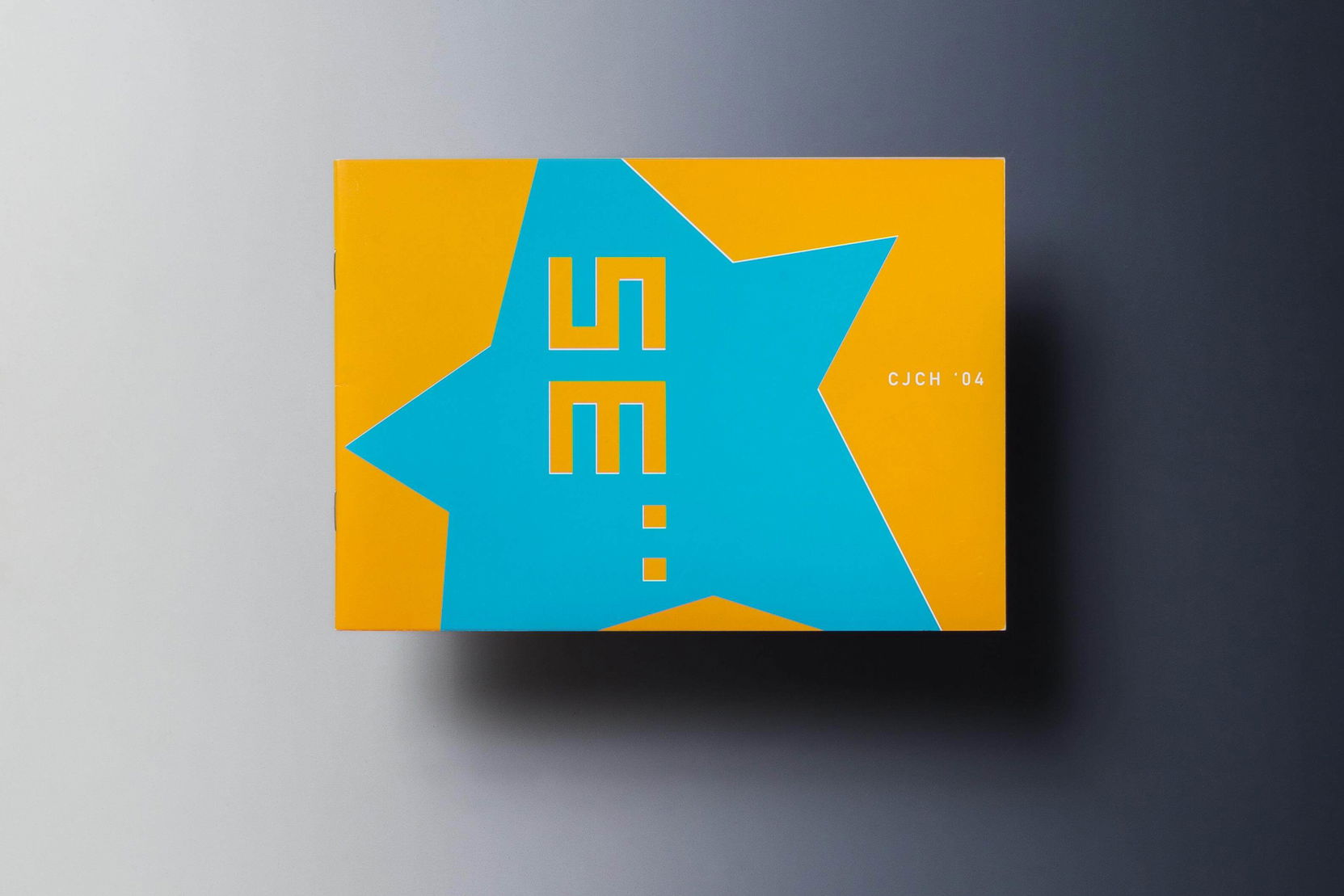 Ilustrační obrázek pro Cena Jindřicha Chalupeckého: Finále 2004