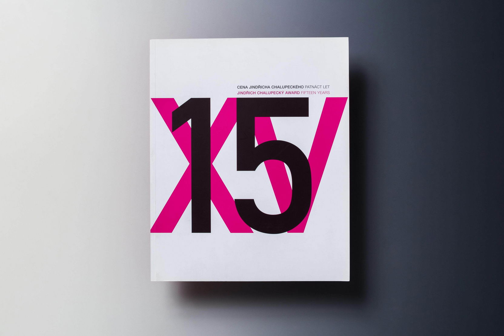 Ilustrační obrázek pro Cena Jindřicha Chalupeckého: Patnáct let