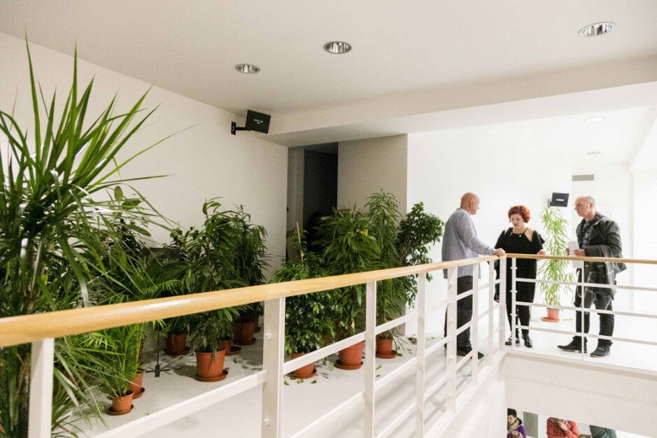 Laure Prouvost: C'est l'est not ouest