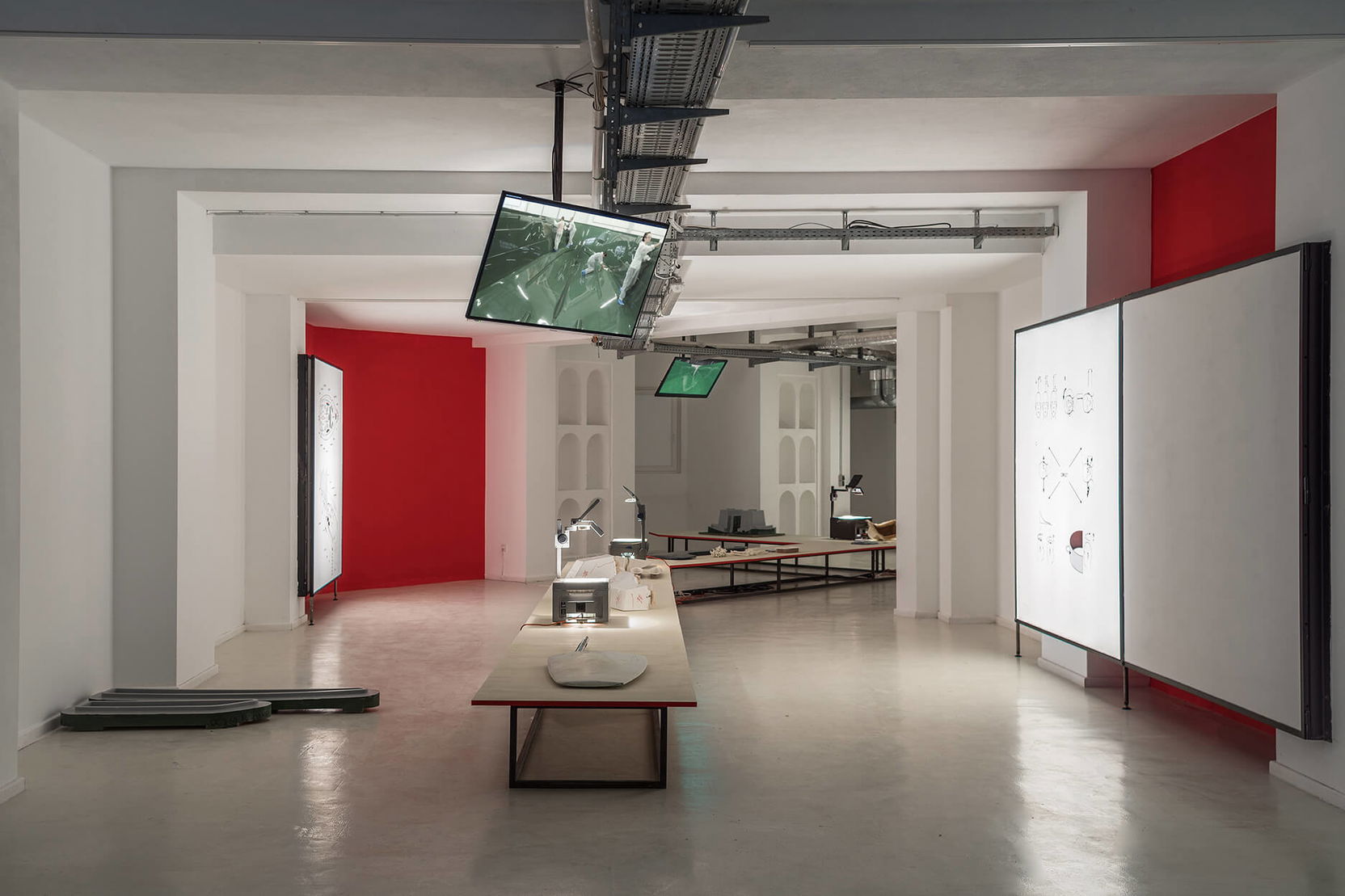 Barbora Kleinhamplová: Sickness Report