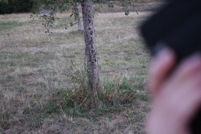 Intervention #18: Alžběta Bačíková