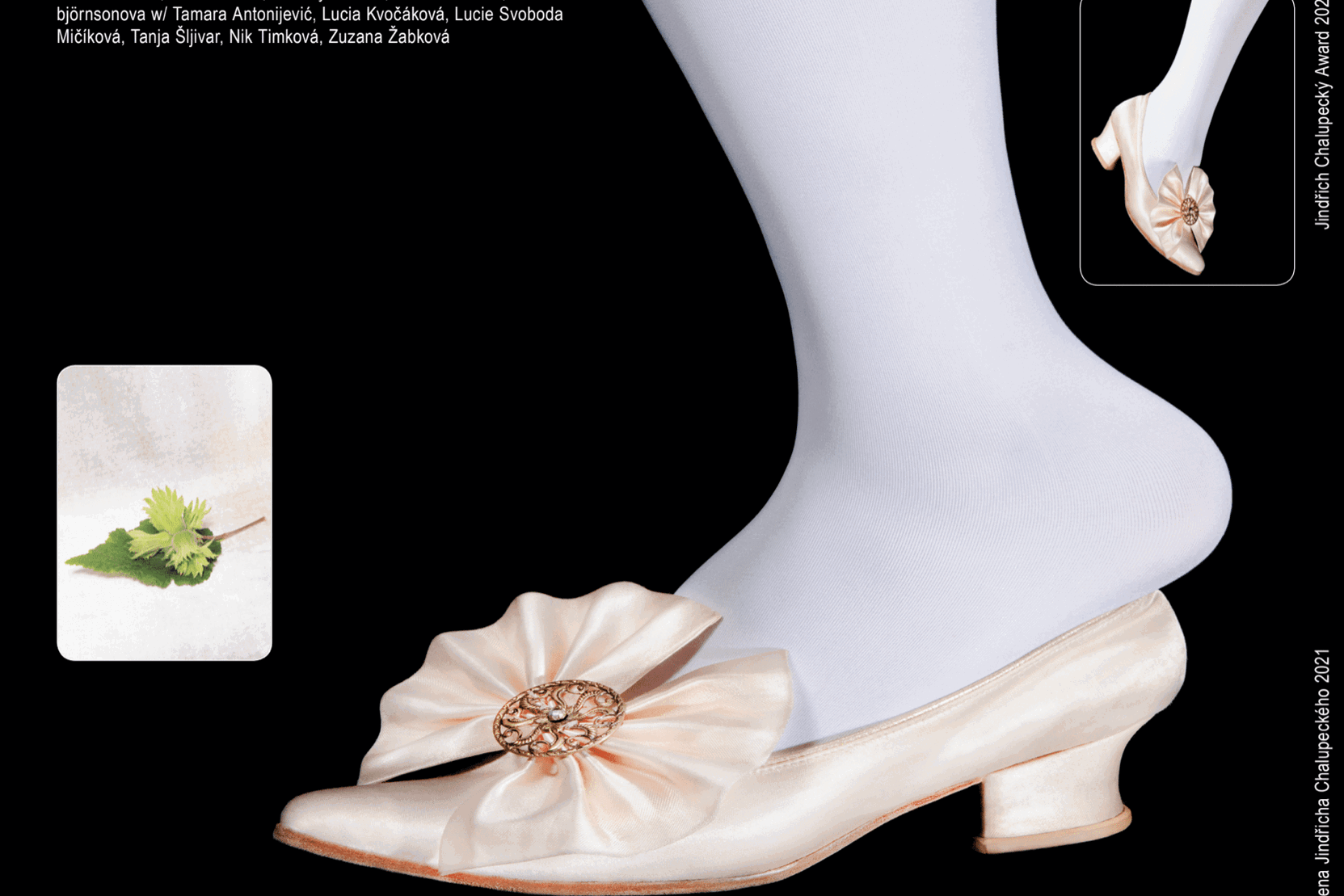 Náhledový obrázek k článku Klára Vlasáková: Sněm