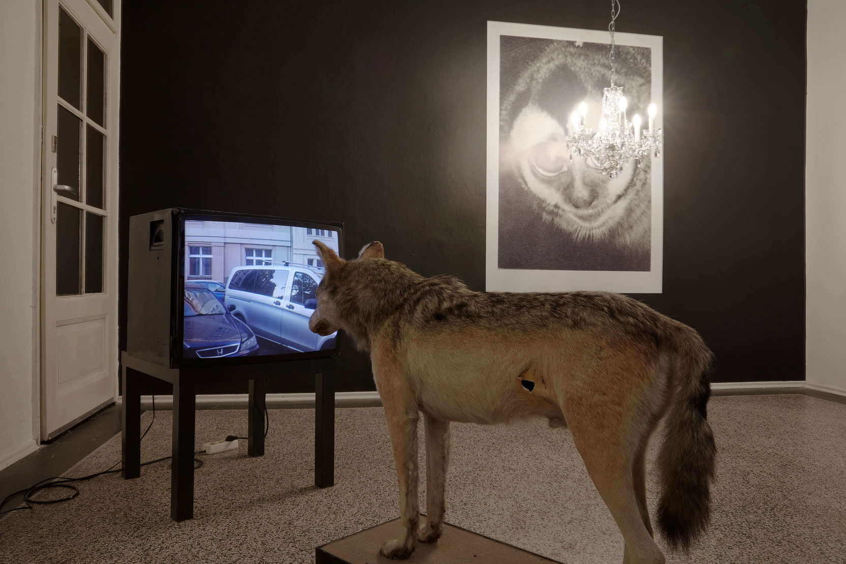 Jindřichův model #4: Michal Nesázal