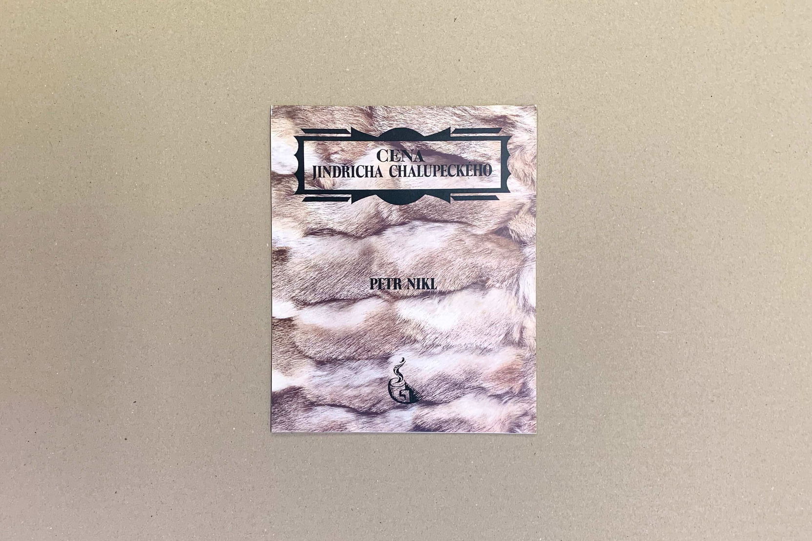 Ilustrační obrázek pro Cena Jindřicha Chalupeckého 1995: Petr Nikl