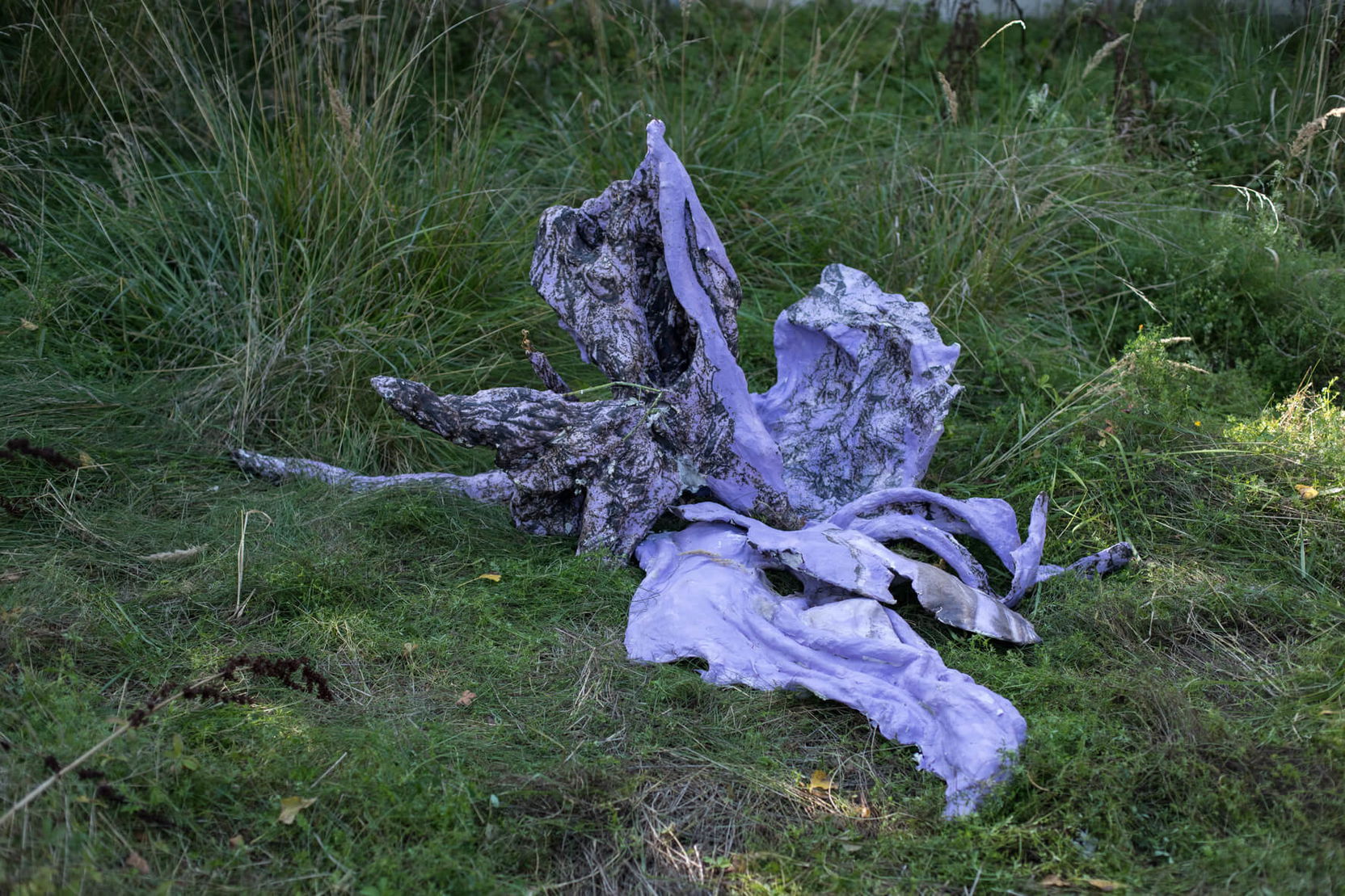 Anna Ročňová: Květ.