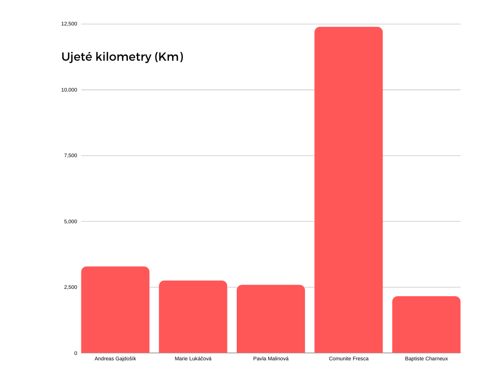 Ilustrační obrázek pro kilometry.png