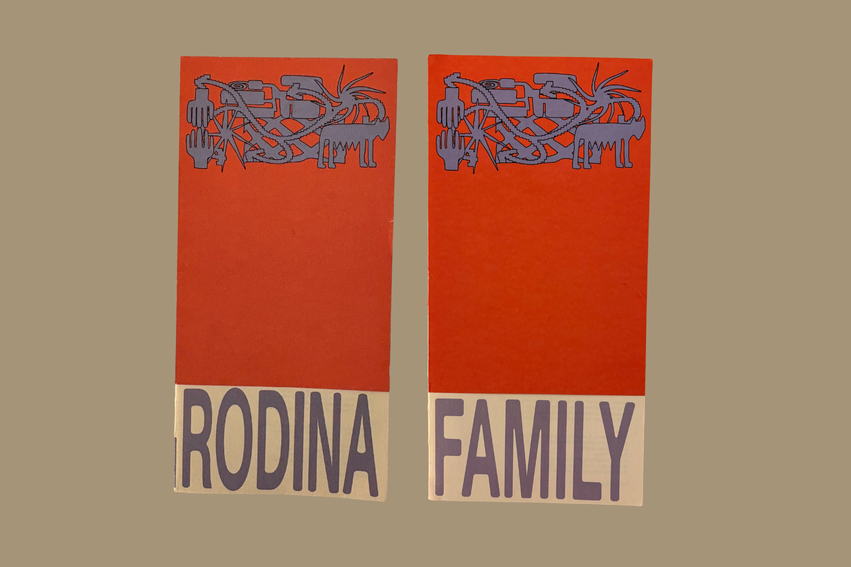 Image for Beyond Nuclear Family