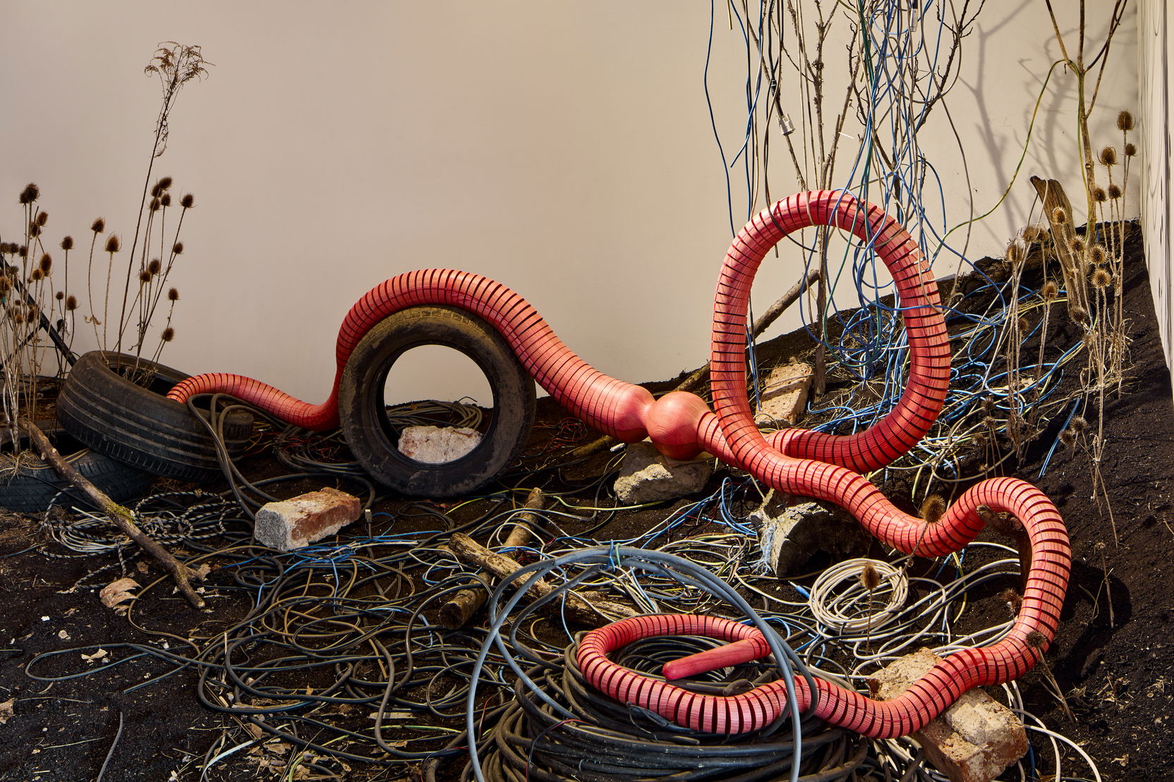 Ilustrační obrázek pro 01pohl-1.jpg