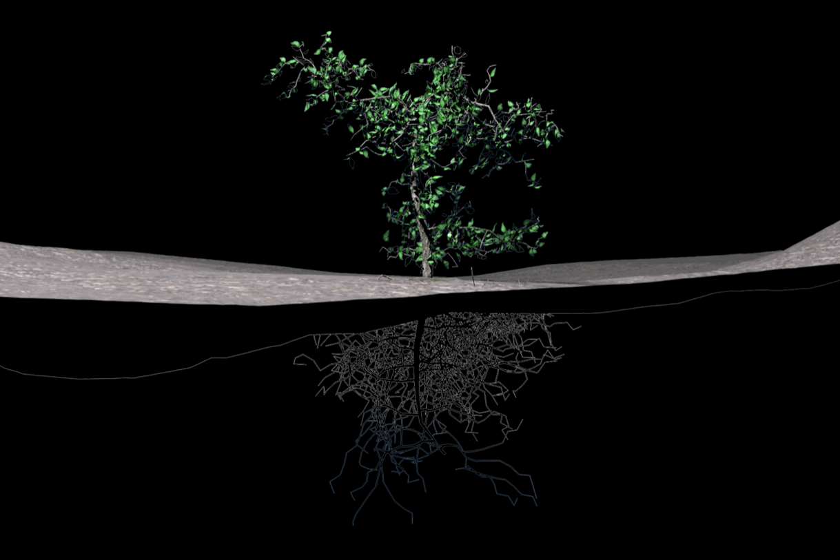 Intervention #22: Elements
